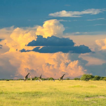 Botswana