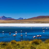 South America