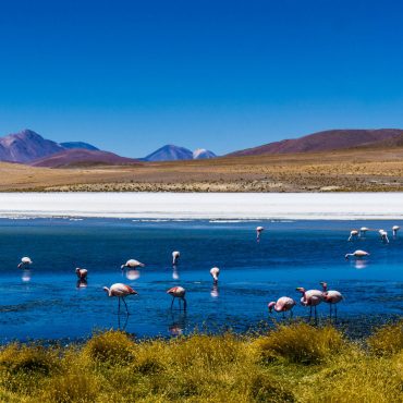 South America