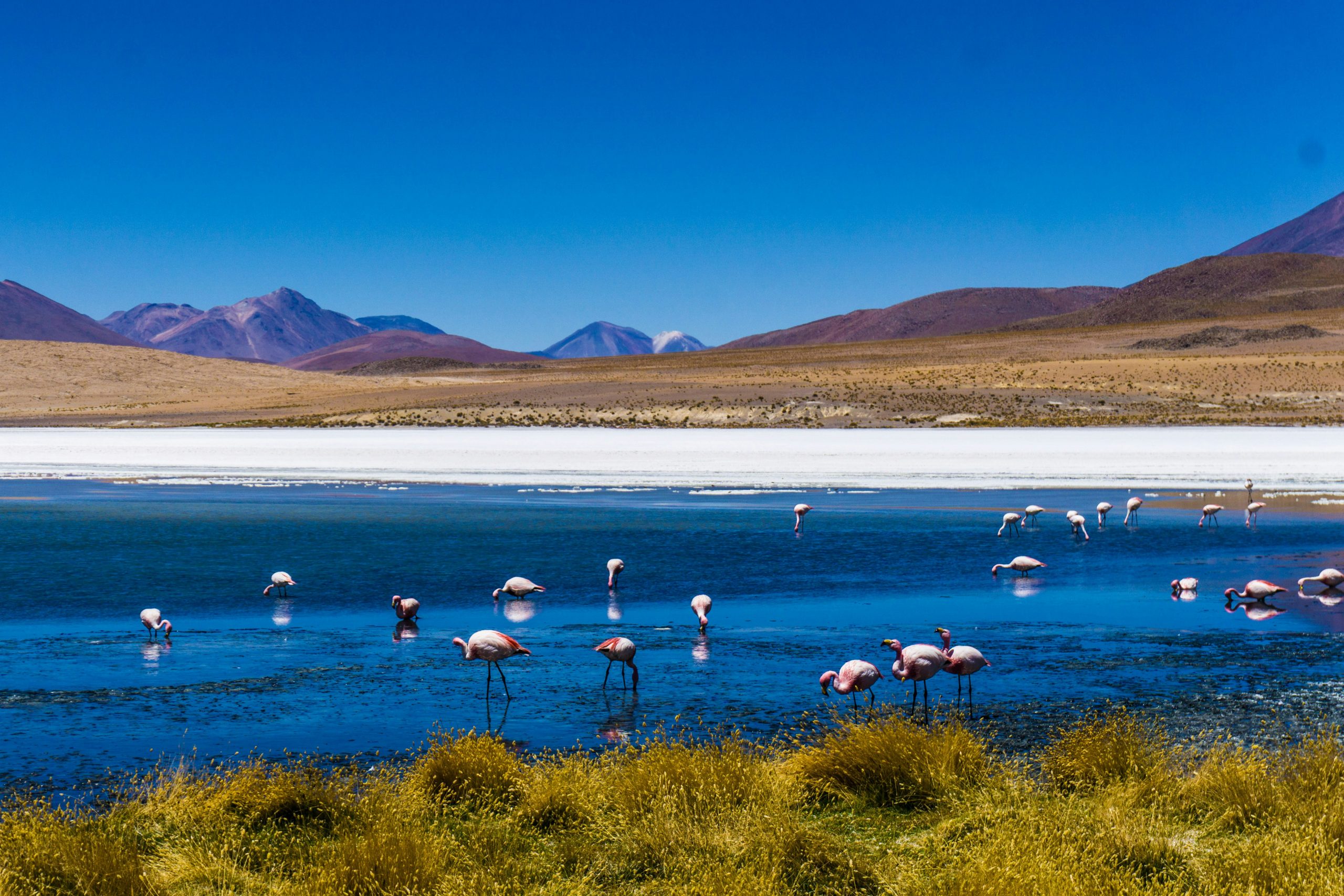 South America