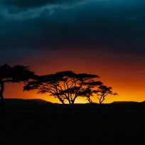 Africa