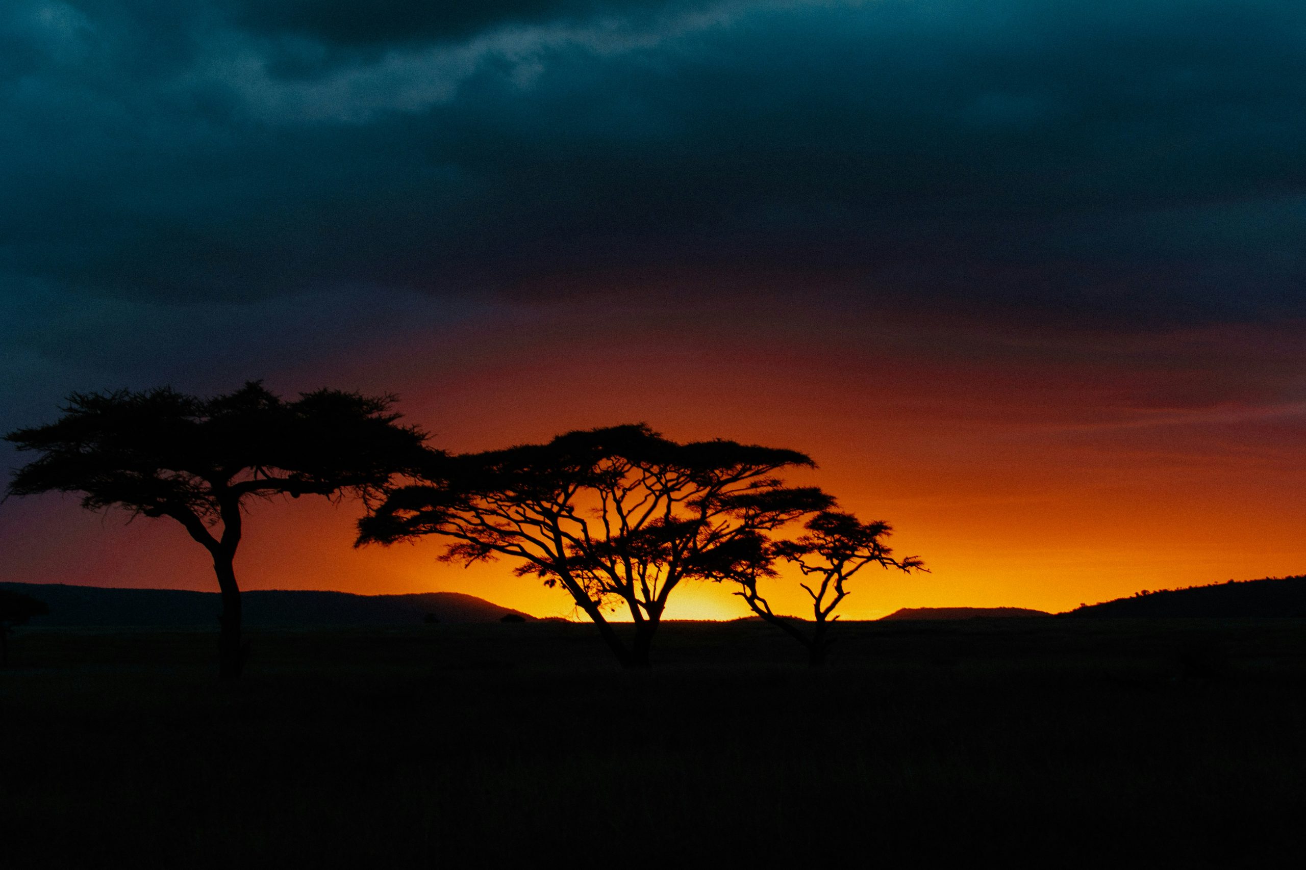 Africa